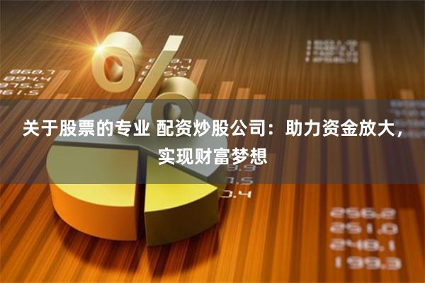 关于股票的专业 配资炒股公司：助力资金放大，实现财富梦想